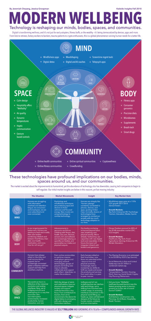 Modern Wellbeing: Infographic Mapping Impacts on Mind, Body, Environment, and Communities